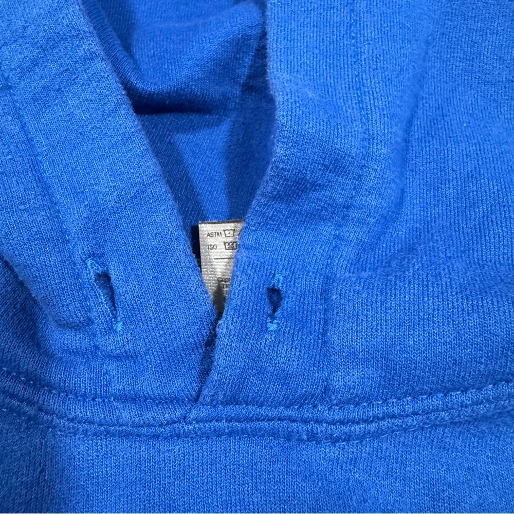 Care Bears Grumpy Bear Gildan Heavy Blend Blue Hoodie Unisex Small Boy Girl - Picture 7 of 8